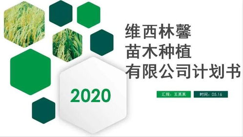 團州委攜北京智庫與農投會，點燃農業創業“云引擎”——農業產品領域線上路演暨培訓側記